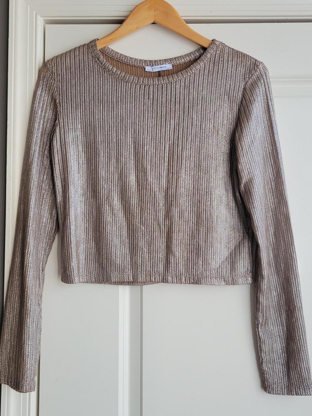Zara Metallic Taupe Long-Sleeve Knit Top